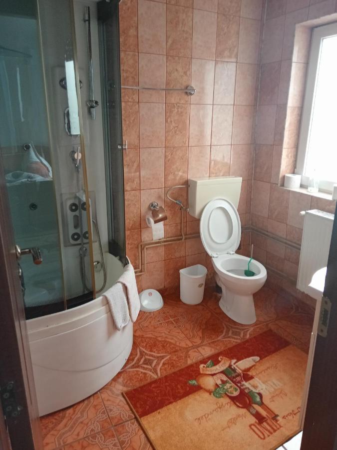 Casa Nicoleta Hotel Gura Humorului Bagian luar foto